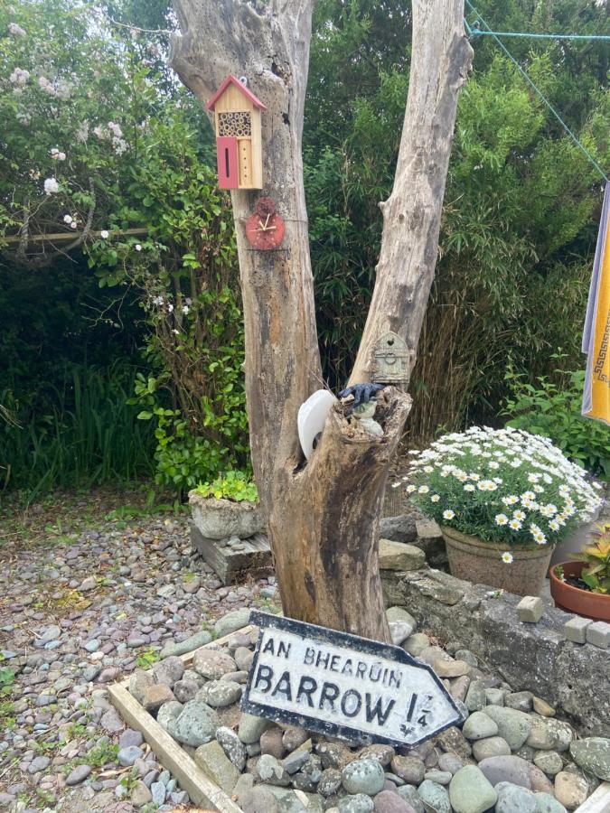 Barrow Harbour Studio Apartment Tralee Eksteriør bilde